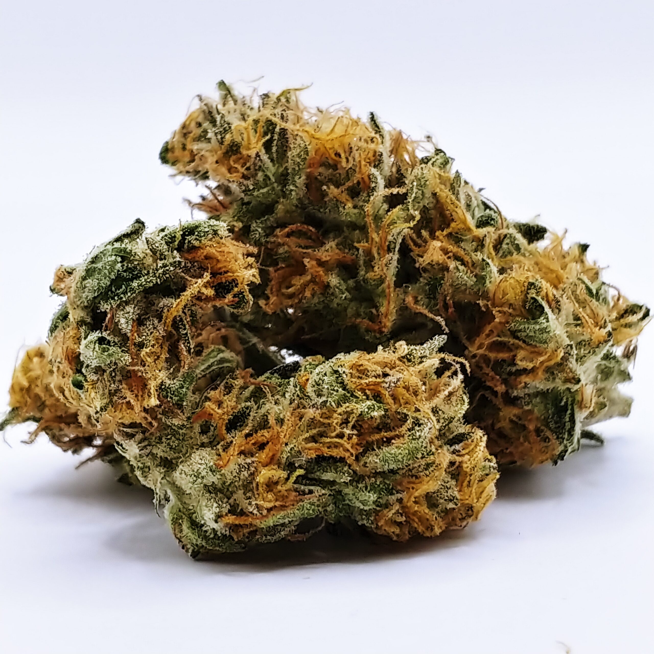 A closeup photo of cannabis buds of the strain Pineapple OG, grown by Lukas Greene. Photo credit: Lukas Greene