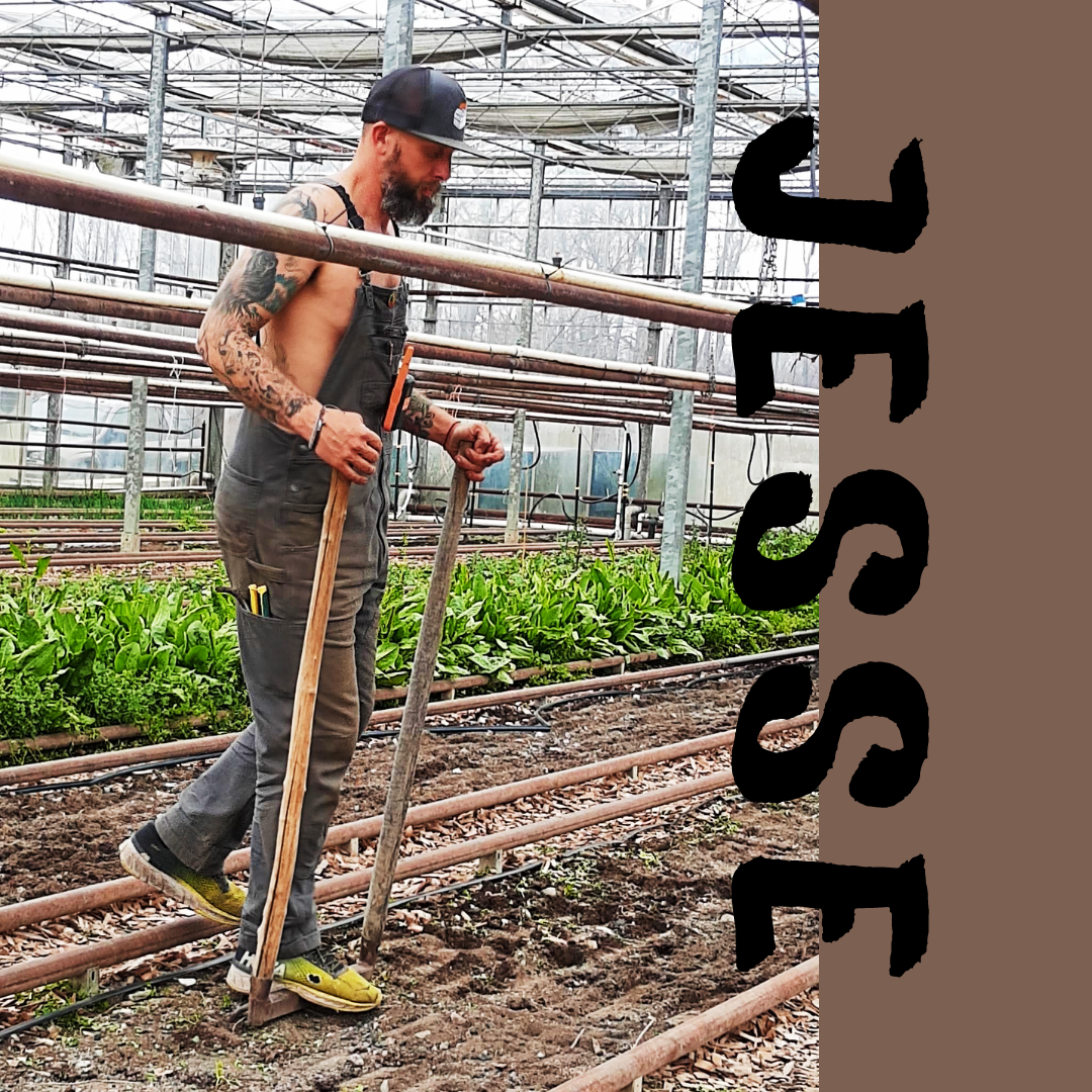 A photo of Jesse aerating the soil in the glasshouse. Photo credit: Lukas Greene